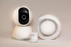 ��� ������ ������ ����� - ������ ����