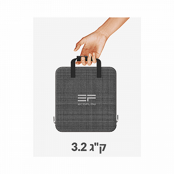 ���� ������ 60W ECOFLOW